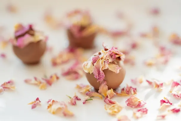 كازينو صن بالاس تطبيق أندرويد/آي أو إس